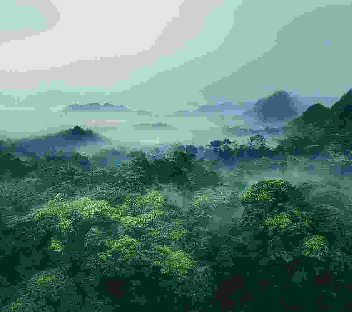 travel Taxonomy Image travel Taxonomy Image